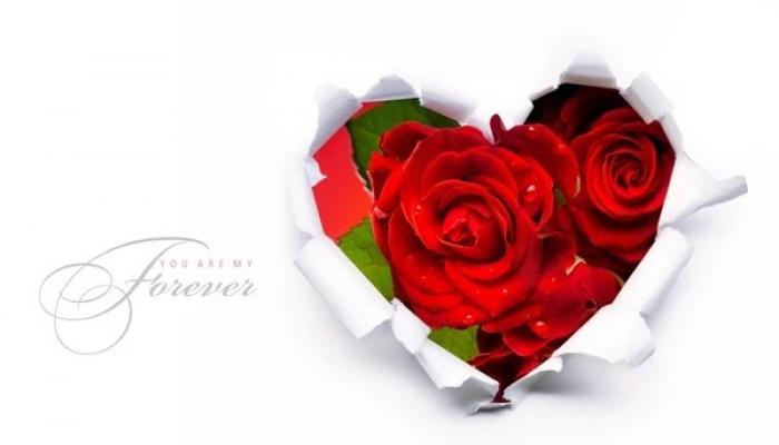 Красивые открытки и пожелания с днем святого Валентина